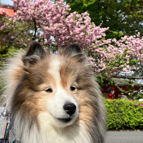 IMG_6210.jpeg