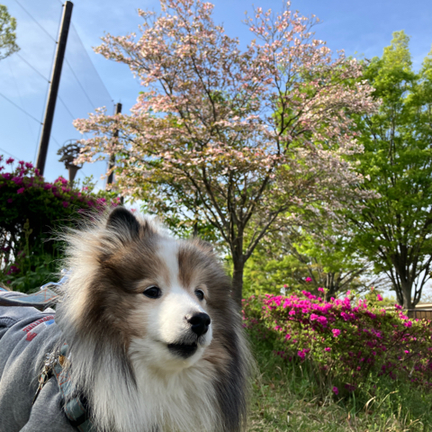 IMG_6244.jpeg