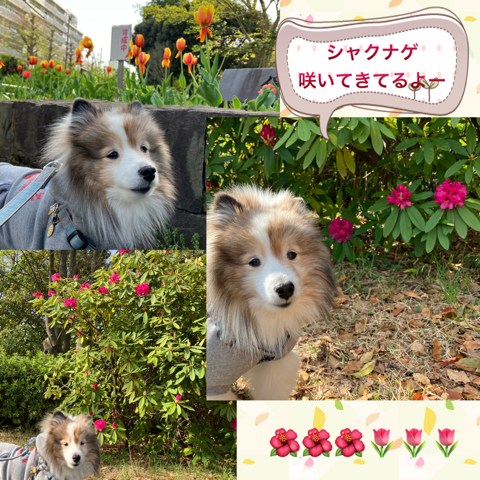 IMG_6262.jpeg