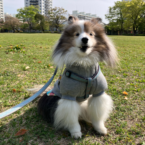 IMG_6266.jpeg