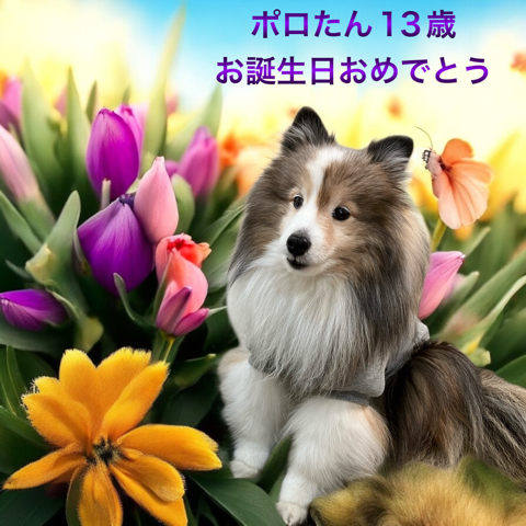 IMG_6294.jpeg