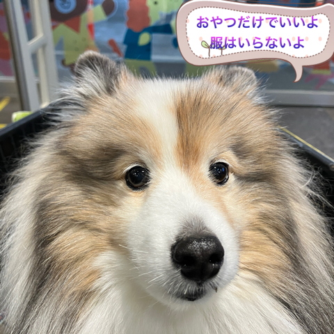 IMG_6299.jpeg
