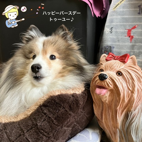 IMG_6337.jpeg