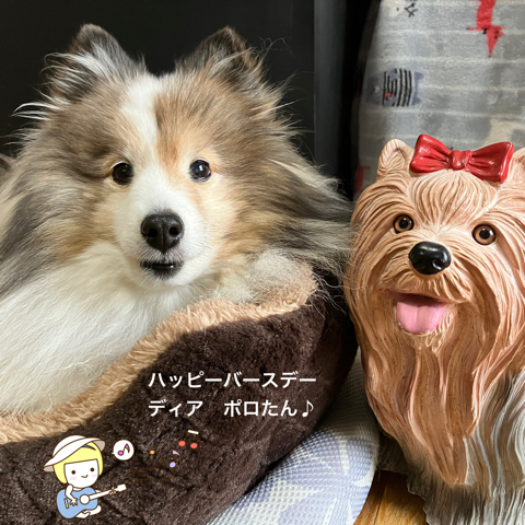 IMG_6338.jpeg