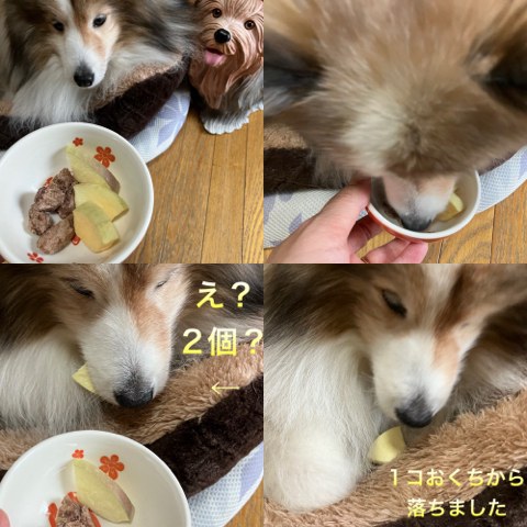 IMG_6340.jpeg