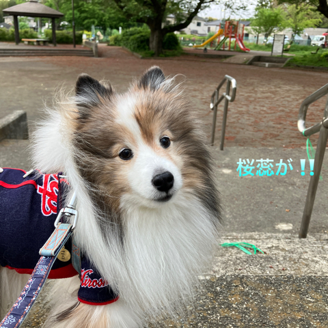 IMG_6396.jpeg