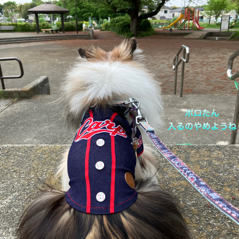 IMG_6397.jpeg