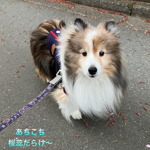 IMG_6398.jpeg