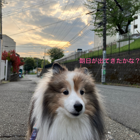 IMG_6399.jpeg