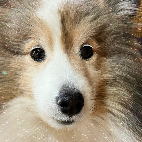 IMG_6401.jpeg