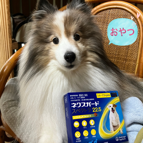 IMG_6450.jpeg