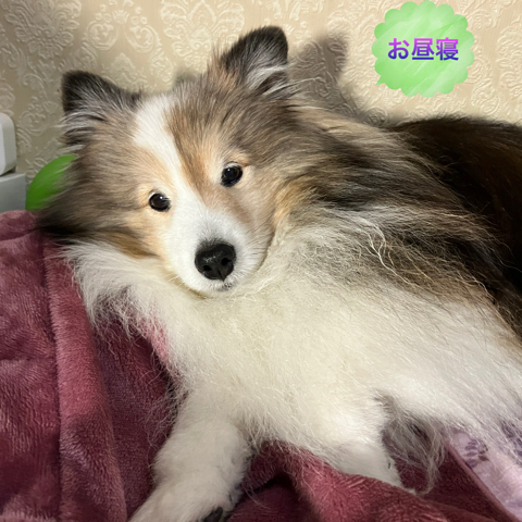 IMG_6455.jpeg