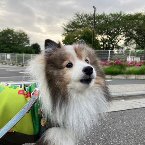 IMG_6470.jpeg
