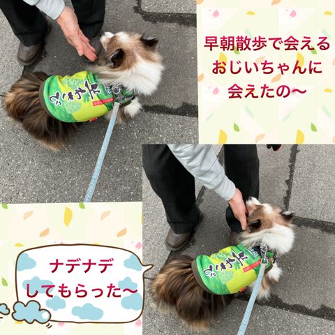 IMG_6471.jpeg