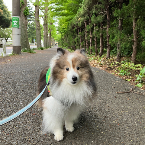 IMG_6513.jpeg
