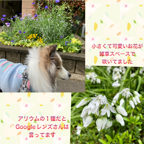 IMG_6549.jpeg