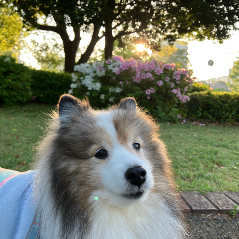 IMG_6612.jpeg