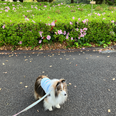 IMG_6614.jpeg