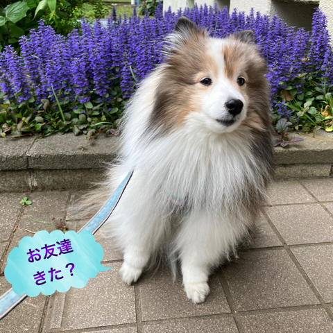 IMG_6654.jpeg