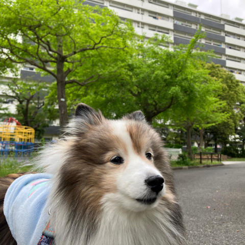 IMG_6656.jpeg