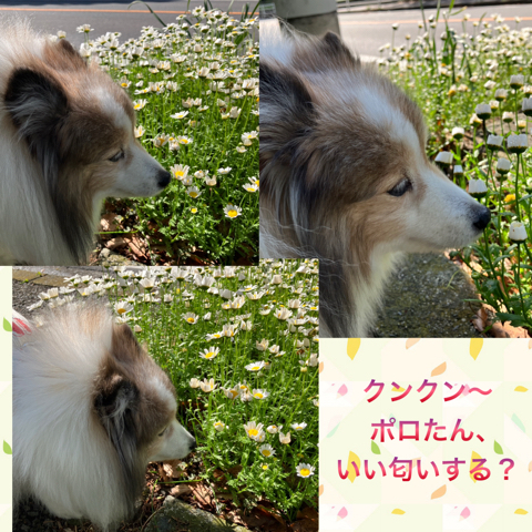 IMG_6796.jpeg