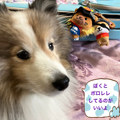 IMG_6805.jpeg