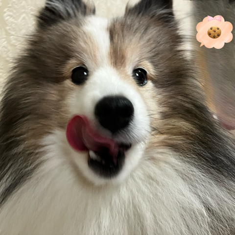 IMG_6850.png