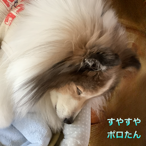 IMG_6853.png