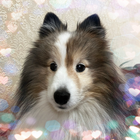 IMG_6854.jpeg