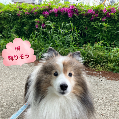 IMG_6866.jpeg
