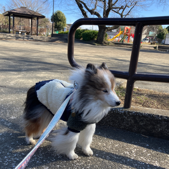 IMG_6922.jpeg