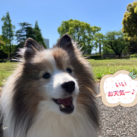 IMG_6934.jpeg
