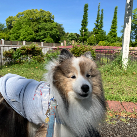 IMG_6936.jpeg