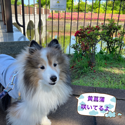 IMG_6937.jpeg