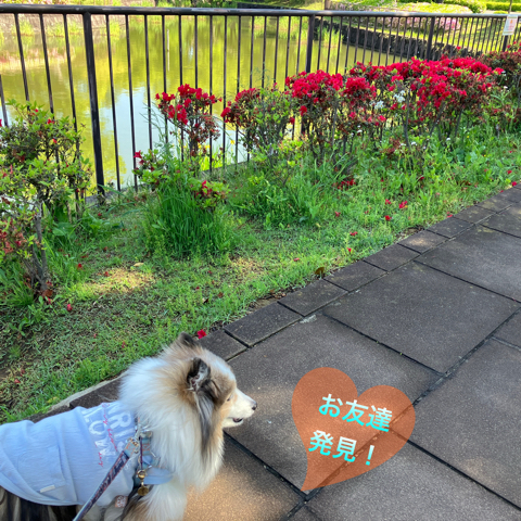 IMG_6939.jpeg