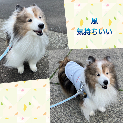 IMG_6962.jpeg
