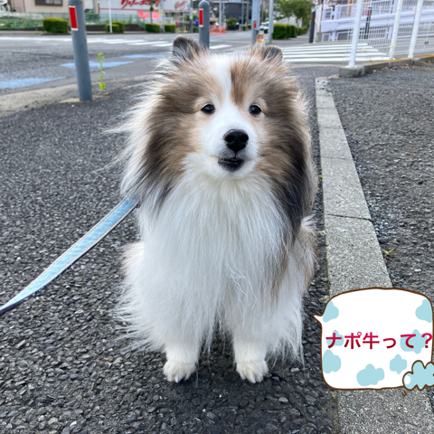 IMG_7003.jpeg