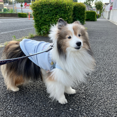 IMG_7004.jpeg