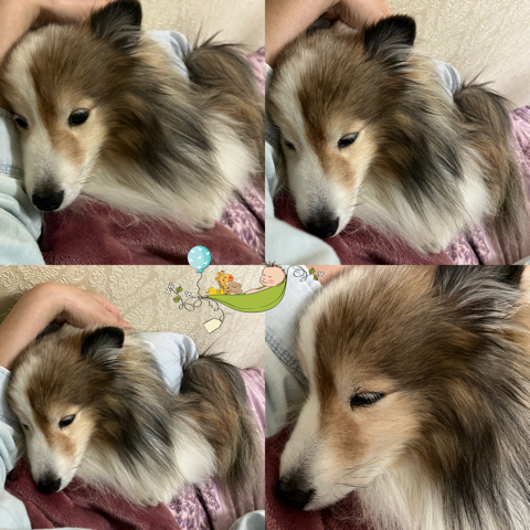 IMG_7043.jpeg