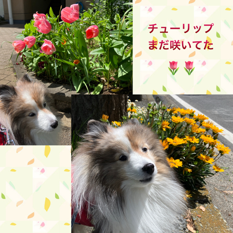 IMG_7117.jpeg