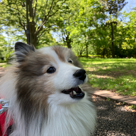 IMG_7122.jpeg