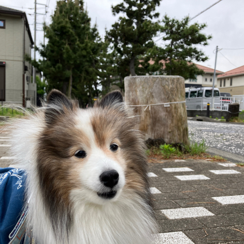 IMG_7198.jpeg
