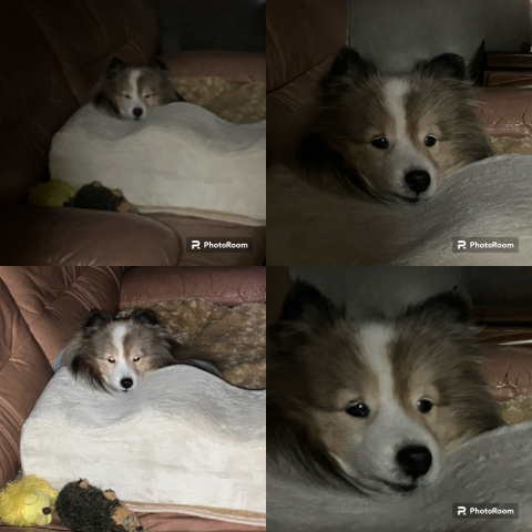 IMG_7228.jpeg