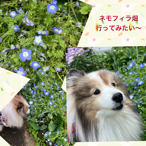 IMG_7229.jpeg
