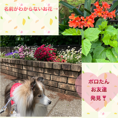 IMG_7230.jpeg