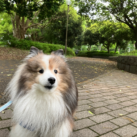 IMG_7252.jpeg