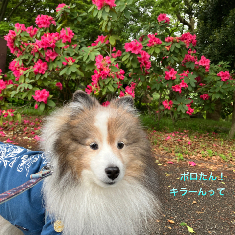 IMG_7259.jpeg