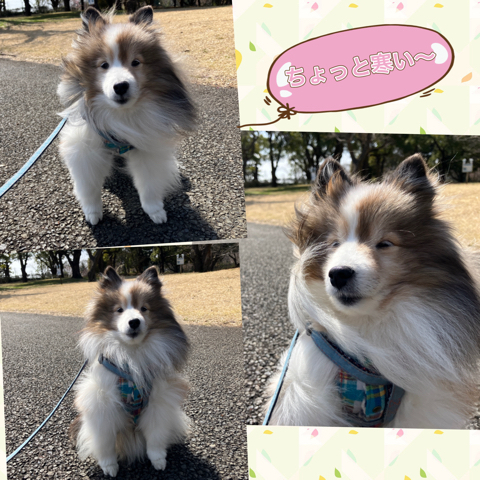 IMG_7273.jpeg
