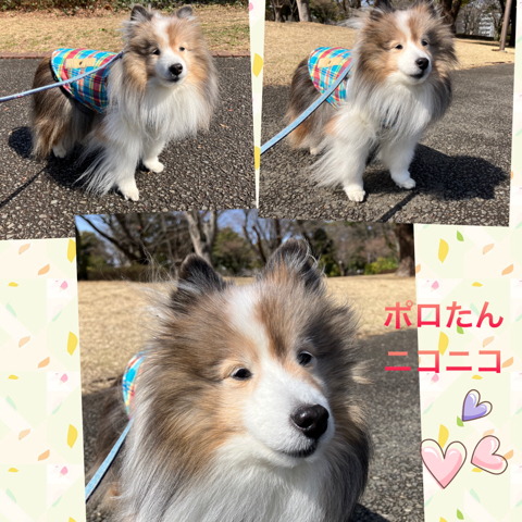 IMG_7275.jpeg