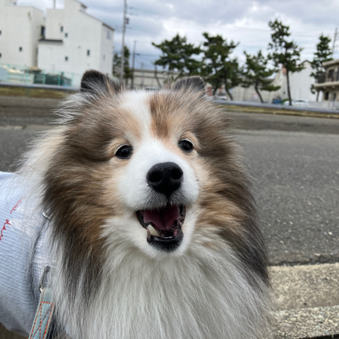 IMG_7283.jpeg